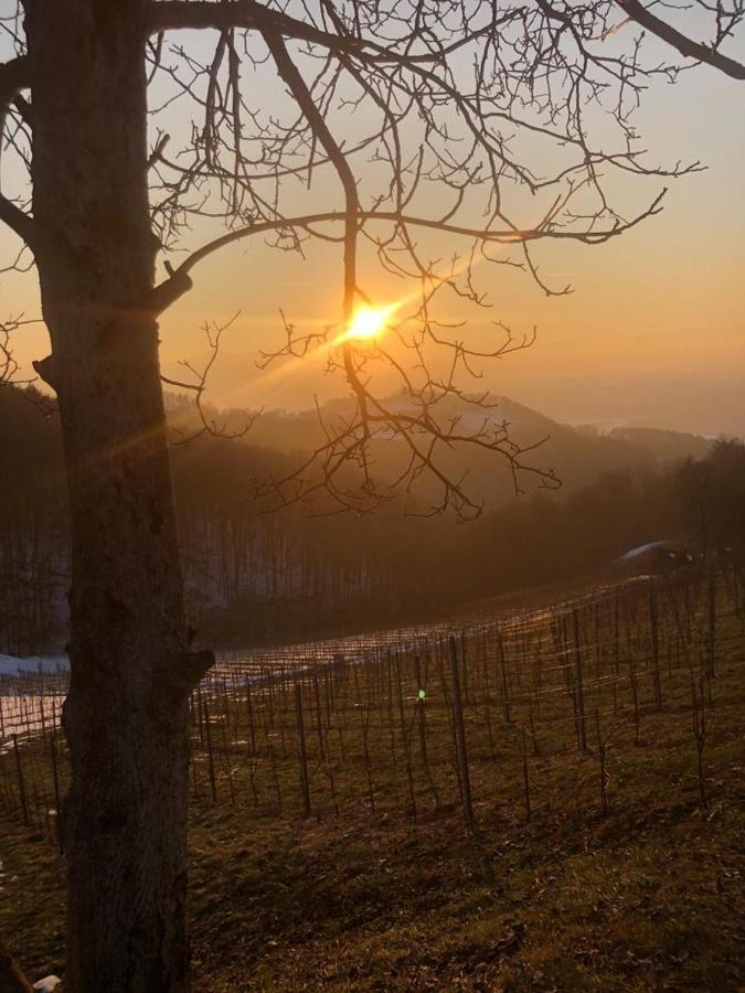 Gästezimmer Klopfer Sankt Johann im Saggautal Exteriör bild