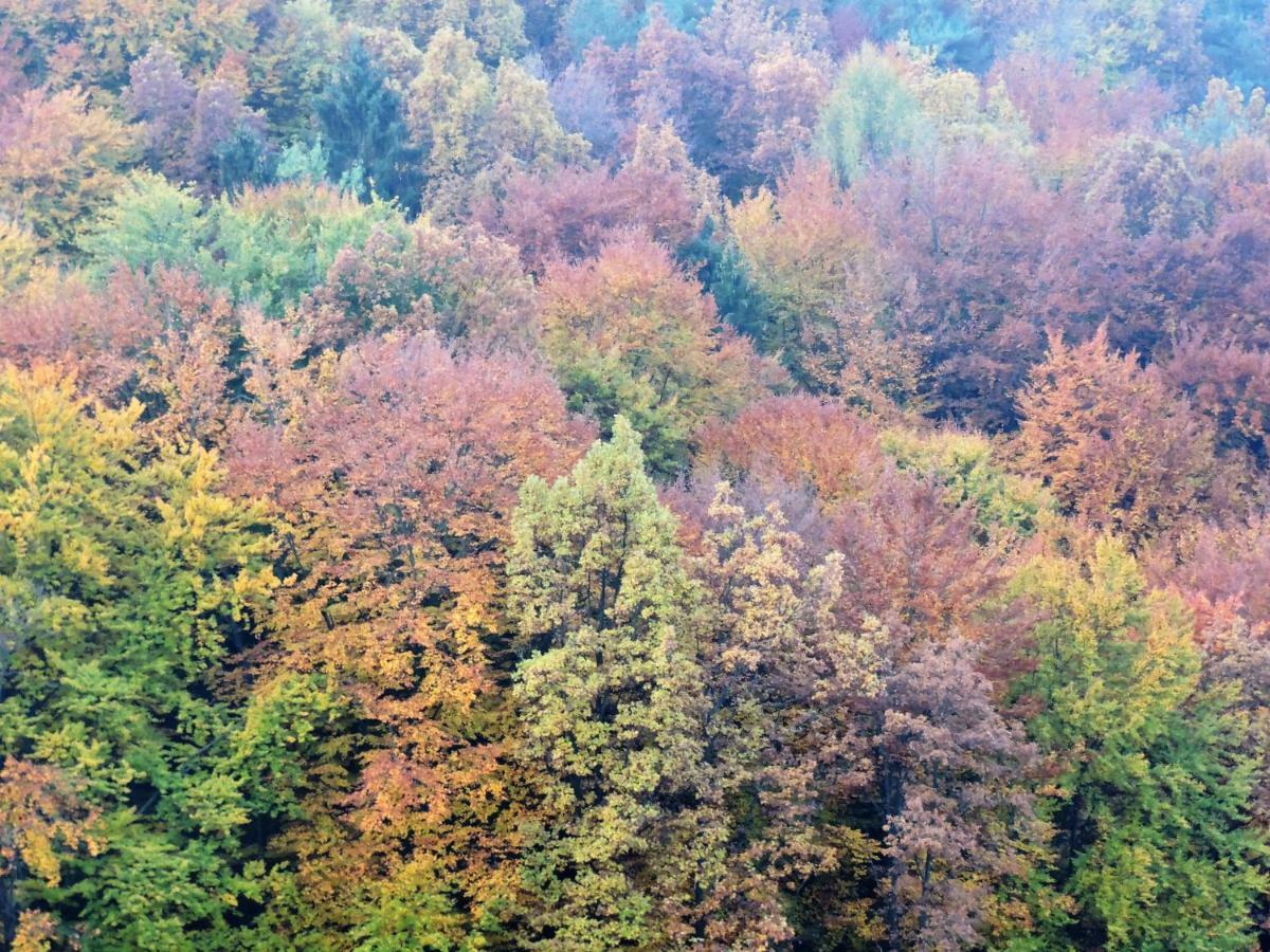 Gästezimmer Klopfer Sankt Johann im Saggautal Exteriör bild